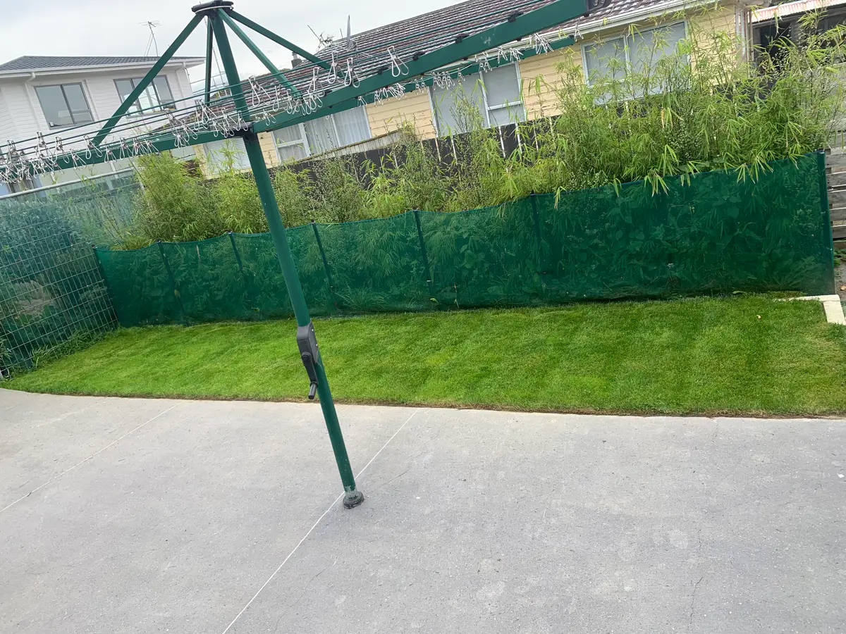 Back lawn mowed and edged along a fence line
