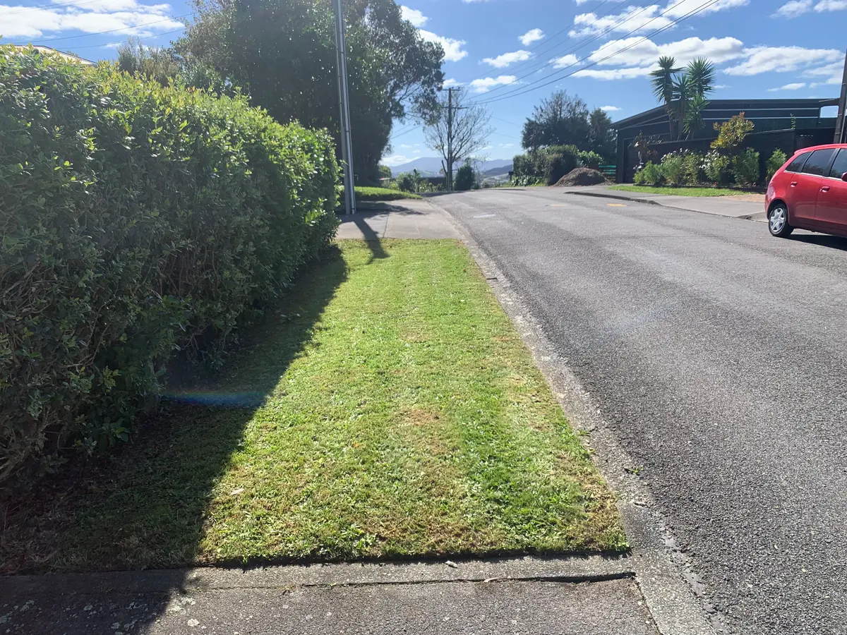 Mowed street berm beside a neatly trimmed hedge