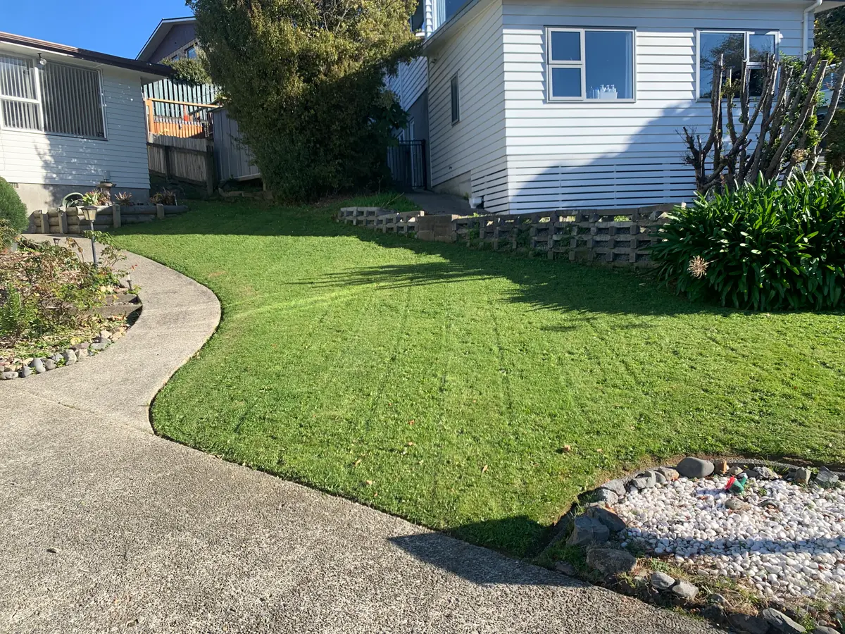Front lawn mowed with crisp edges along a concrete path