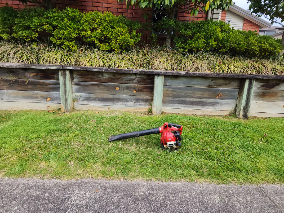 Neatly trimmed low hedge above a timber retaining wall and mowed lawn