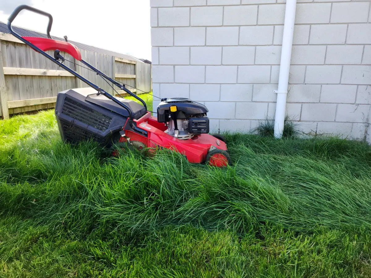 Mower parked in long overgrown grass before a tidy-up